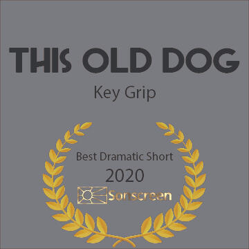 This Old Dog